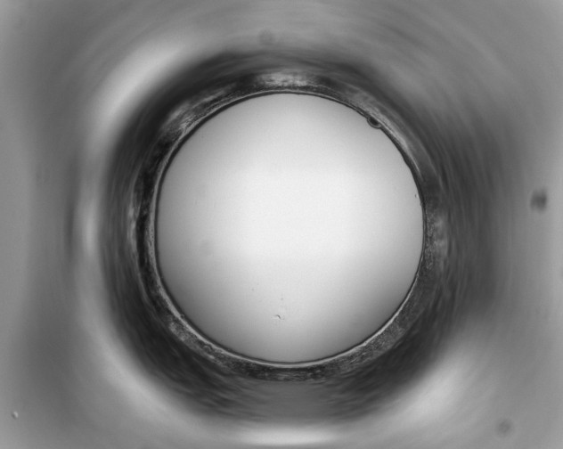 X0000099301151200805231336