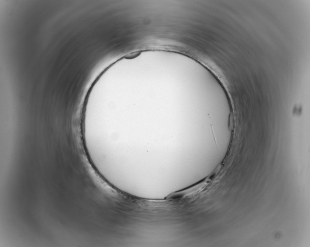 X0000099301152200805231336