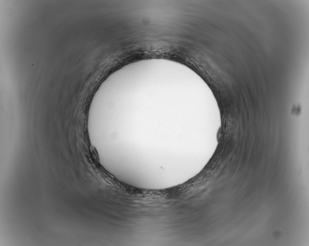 X0000099301153200805231336