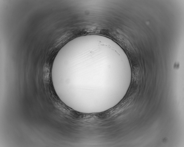 X0000099301154200805231336