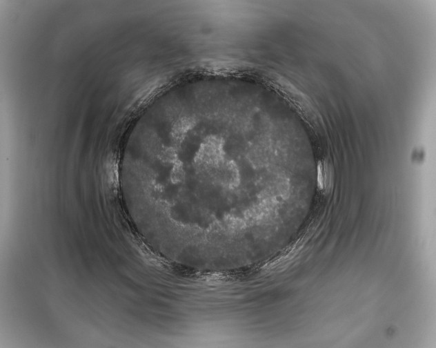 X0000099301155200805231336