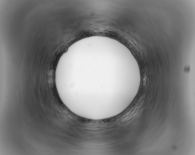 X0000099301156200805231336