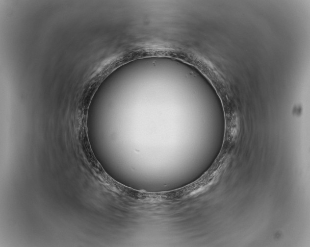 X0000099301157200805231336