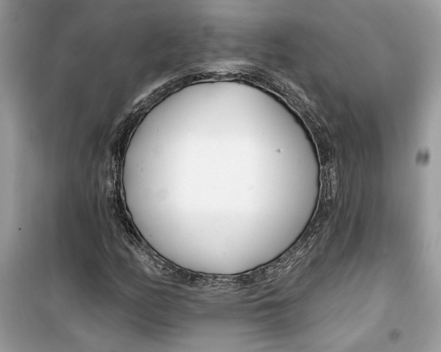 X0000099301158200805231336