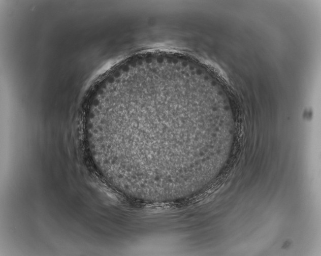 X0000099301159200805231336