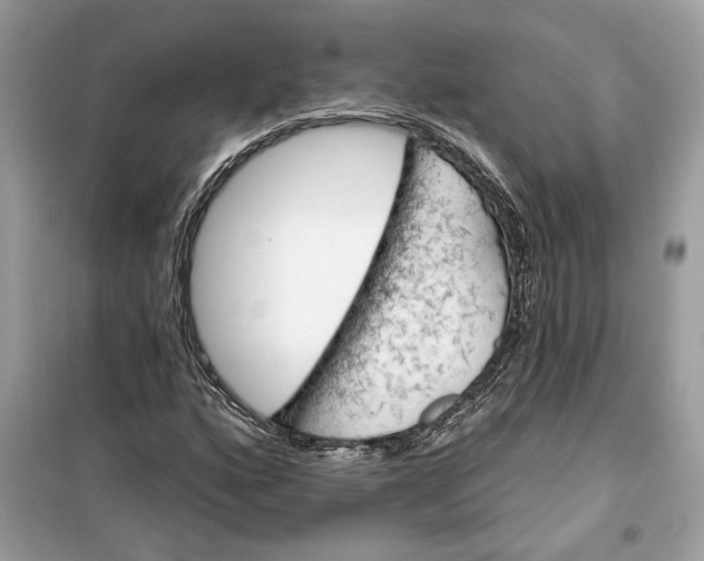 X0000099301160200805231336