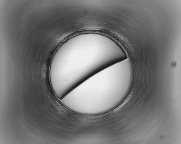 X0000099301161200805231336