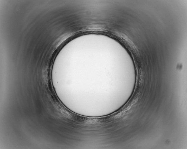 X0000099301162200805231336