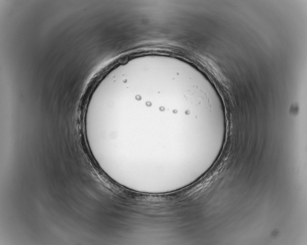 X0000099301164200805231336