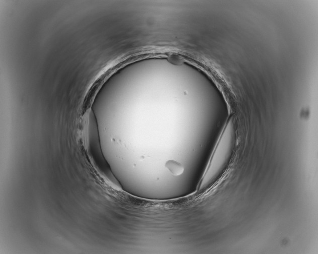 X0000099301165200805231336