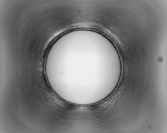 X0000099301166200805231336