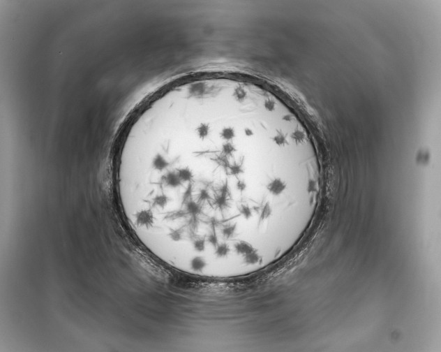 X0000099301167200805231336