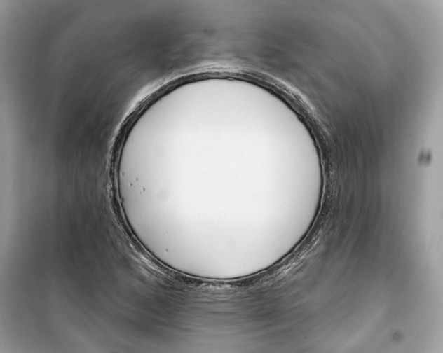 X0000099301168200805231335