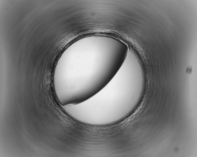 X0000099301169200805231335