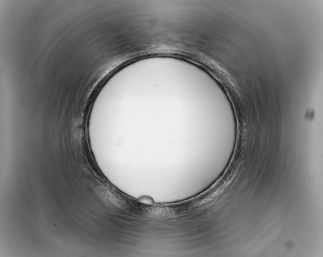 X0000099301170200805231335