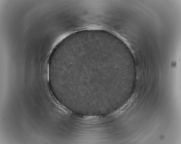 X0000099301171200805231335