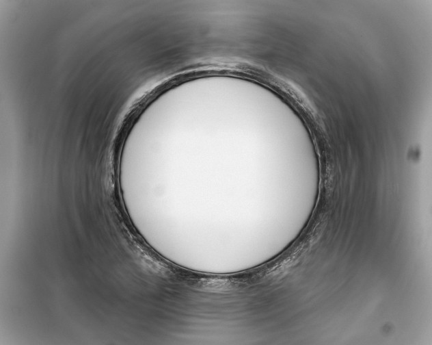 X0000099301172200805231335