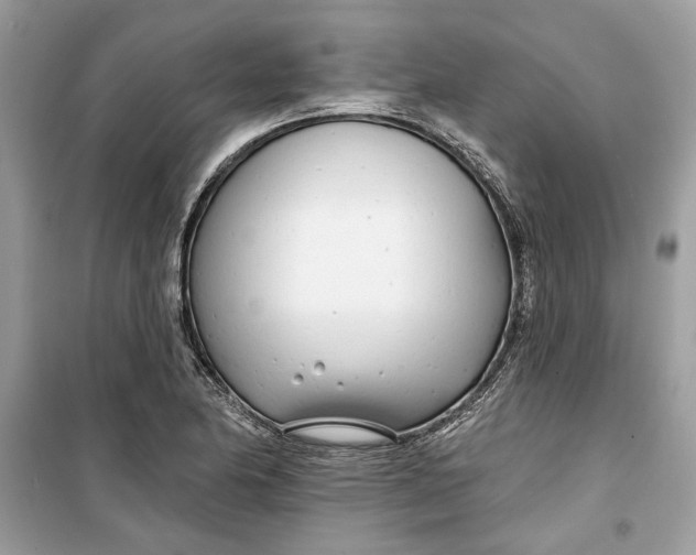 X0000099301174200805231335