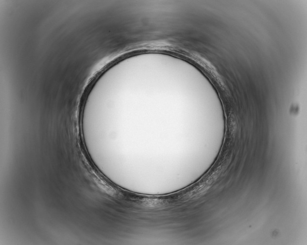 X0000099301176200805231335