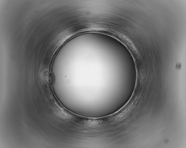 X0000099301177200805231335