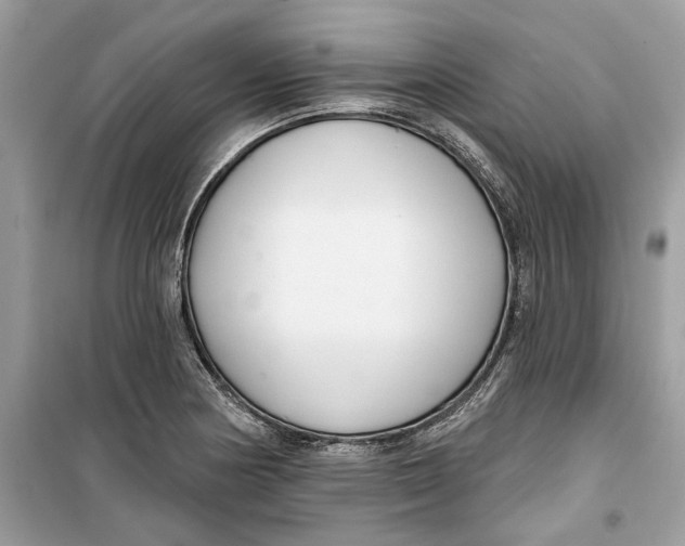 X0000099301178200805231335