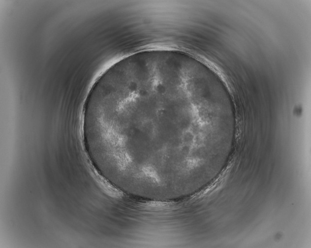 X0000099301179200805231335