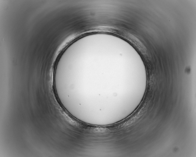 X0000099301180200805231335