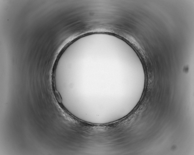 X0000099301181200805231335