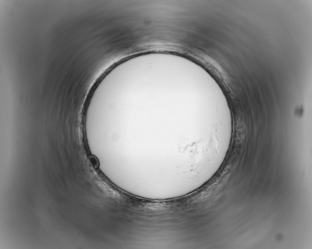 X0000099301182200805231335