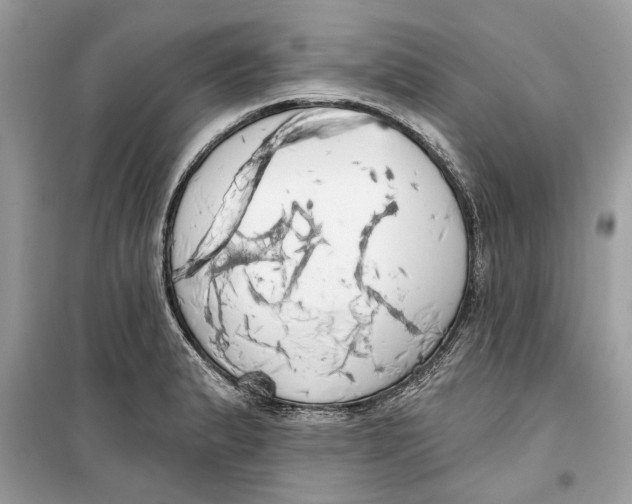 X0000099301183200805231335