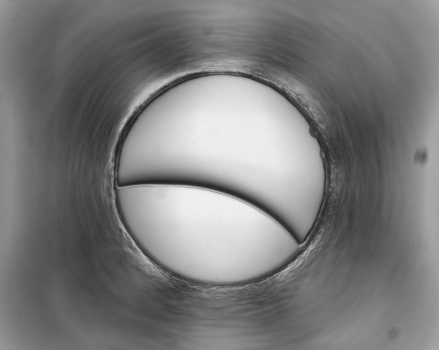 X0000099301184200805231335