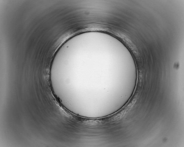 X0000099301185200805231335