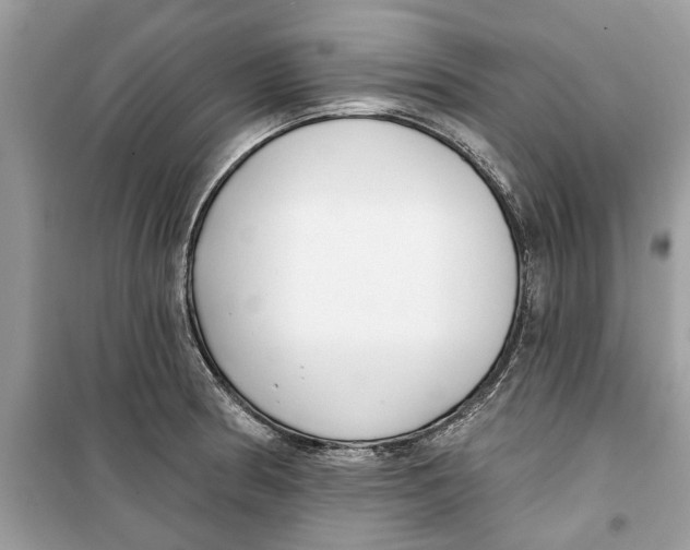 X0000099301186200805231335