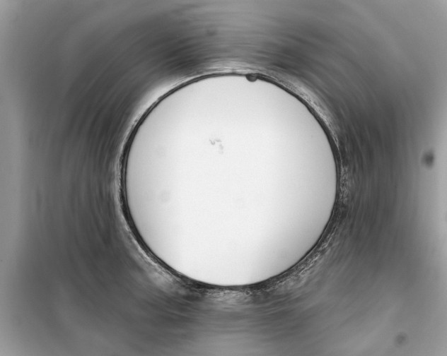 X0000099301187200805231335