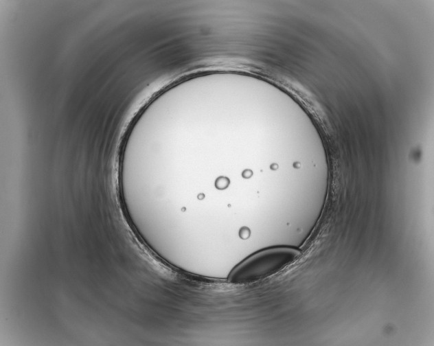 X0000099301188200805231335