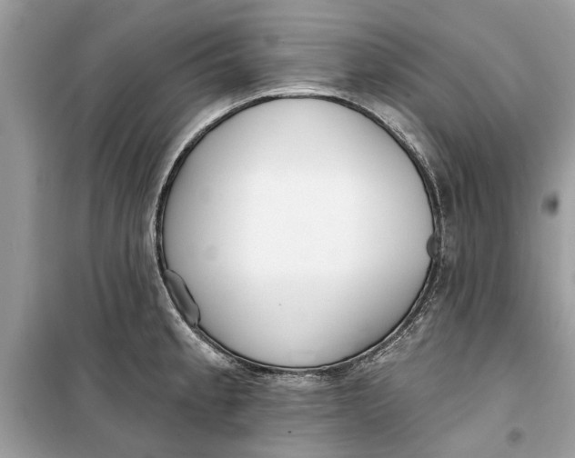 X0000099301189200805231335