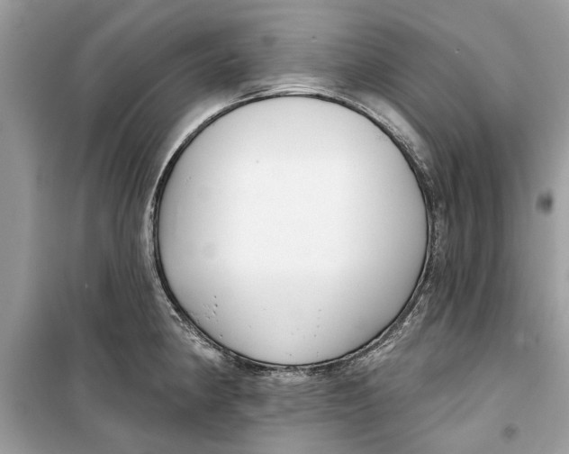 X0000099301190200805231335