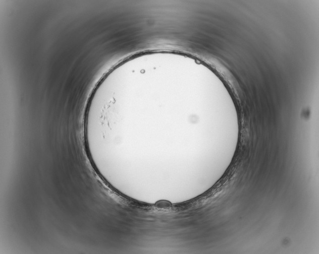 X0000099301191200805231335