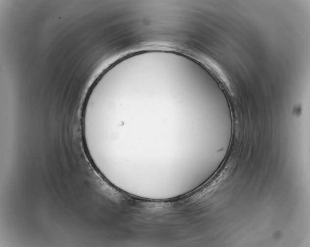 X0000099301192200805231335