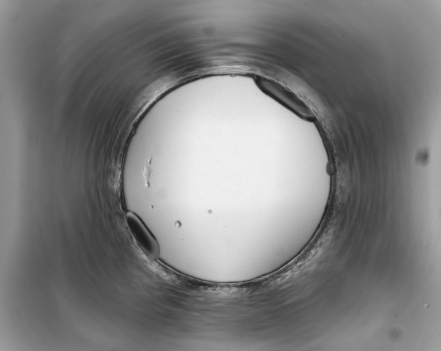 X0000099301193200805231335