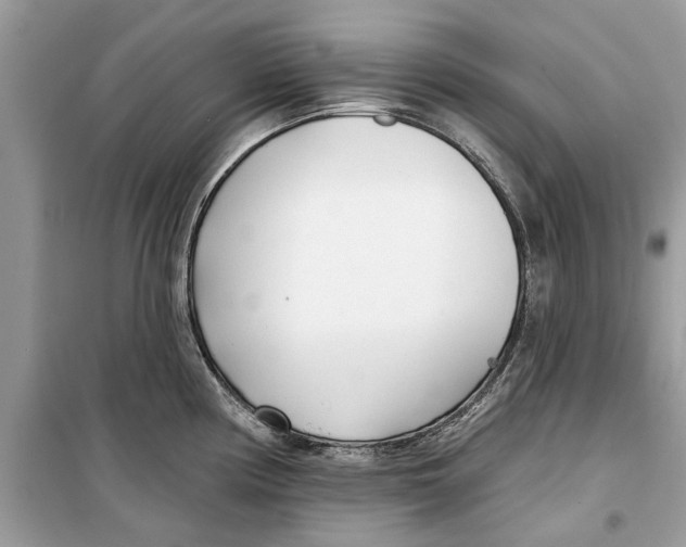 X0000099301194200805231335