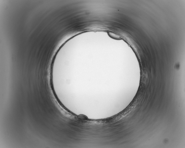 X0000099301195200805231335