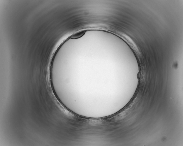 X0000099301196200805231335