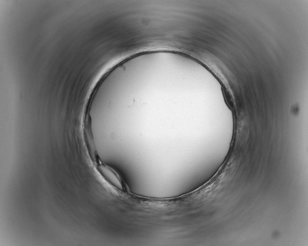 X0000099301197200805231335