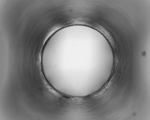 X0000099301198200805231335