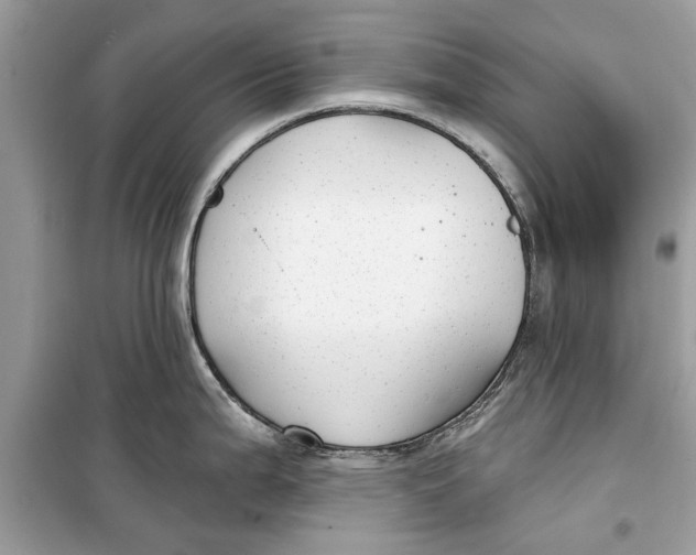 X0000099301199200805231335