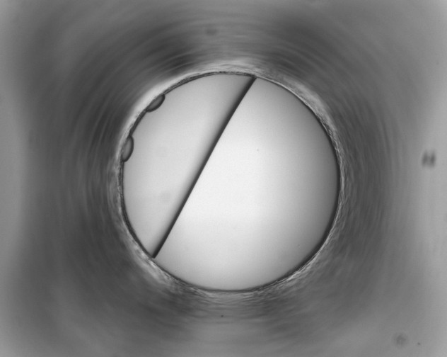 X0000099301200200805231335