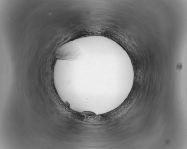 X0000099301201200805231334