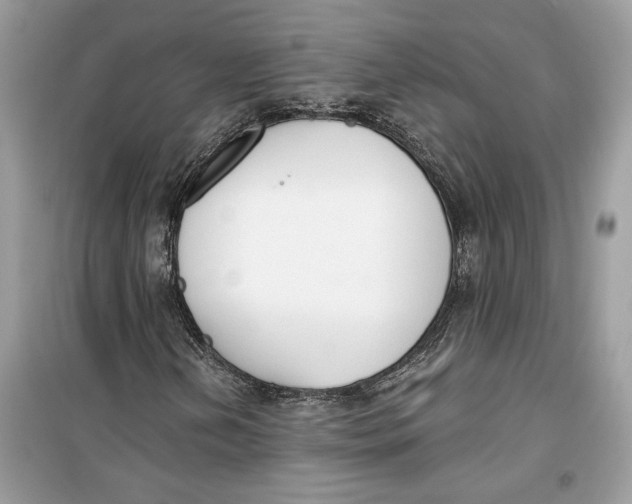 X0000099301202200805231334