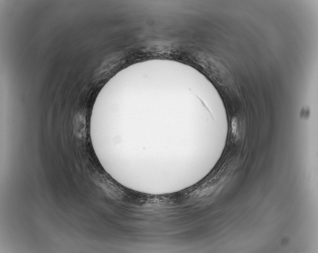 X0000099301203200805231334